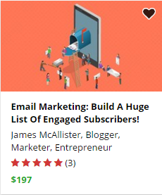 review of email marketing success