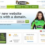 Registering a Domain Name 2